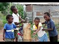 Join St. John's in raising funds to purchase a PlayPump for a village in sub-Saharan Africa.