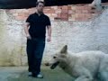 Athos Junto, Senta, Deita e Aqui Athos Junto, Senta, Deita e Aqui