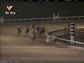 Clasico del Caribe 2000