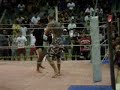 theo porto kimura alagoas