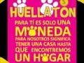 Huellaton - Recinto Animal AC