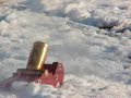 bird shot with confederate mortar cannon