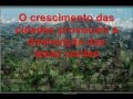 Desmatamento