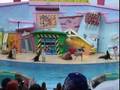 Sea World San Antonio