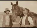 Phar Lap vs. Sunline