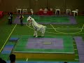 Dança do Leão como jamais vista antes