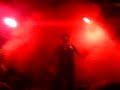 cat-rock herzeleid