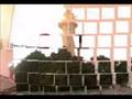 videos de derecepni