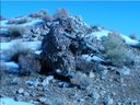 Cabela's TCS™ Ghillie suit:  Nationwide Tour