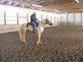 Rhett 4th Ride Bending and Flexing