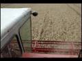 8'sixty 2008 harvest