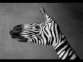 videos de comercial naturaleza