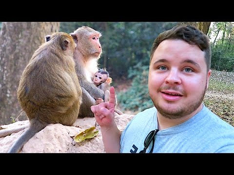 WILD BABY MONKEYS!!