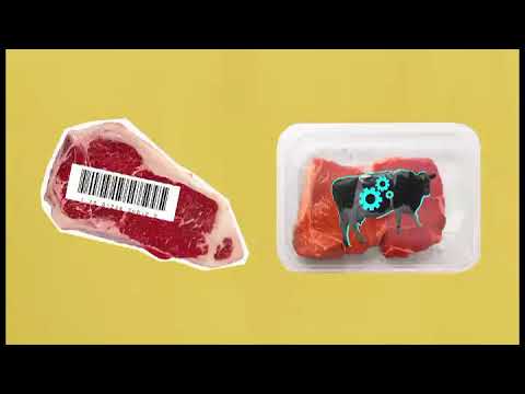 5 Carne artificial
