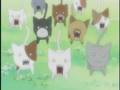 Amv Hell ...