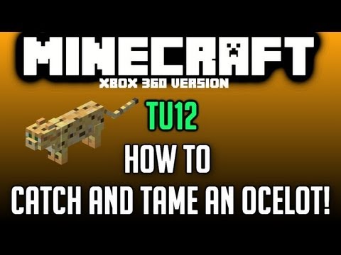 how to train a ocelot in minecraft xbox
