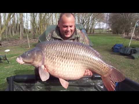 53lb Common Caught at Lillypool, Feb 2017 53lb Common Caught at Lillypool, Feb 2017