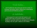 Verdades sobre as Células-Tronco Embrionárias