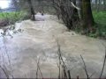 Wildwasser Kanu Wilde Sau WIlsdruff