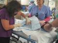 APML LEUKEMIA Bone Marrow Aspirate