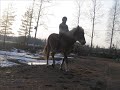 Hummalla oltiin taas ratsastamassa vähän kevyemmin :)Kuvat:(c) JansuLove & MiivaMusiikki: Marilii- Nautin elämästä