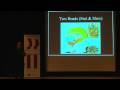 Physiology of Post-Traumatic Stress Disorder (2 of 3)