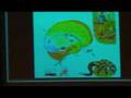 Physiology of Post-Traumatic Stress Disorder (2 of 3)