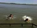 videos de diego e calos guilheme