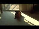 Rocky quiets the naysayer