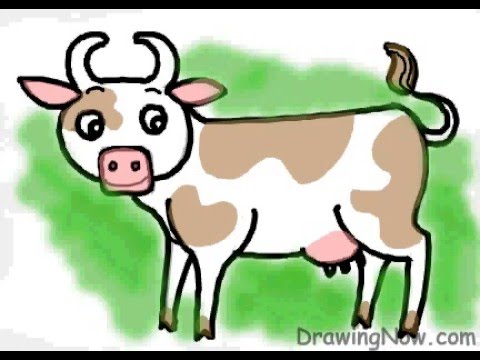 how to draw a cow udder