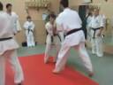 combat1-adulte.mov combat1-adulte.mov