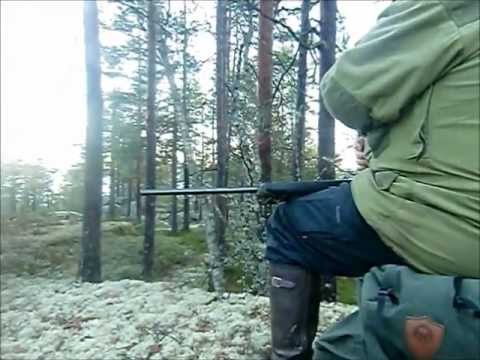 ULV - Magnus var med kara på jakt søndag 18/11-12, se hva som dukket opp på post... På Simostranda, Modum kommune.