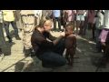Iron Chef Cat Cora & Timberland CEO Jeff Swartz Travel to Haiti