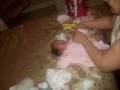 videos de Gypsy, Baby Samantha White