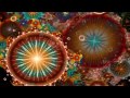 The track is Digitalys by Aes Dana off of a various artists compilation by Suntrip Records called Apsara. aesdana.free.fr The song was used as a background to a screensaver by Electric Sheep. It's also pretty cool and worth checking out. electricsheep.org
