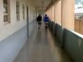 Corrida de cueca