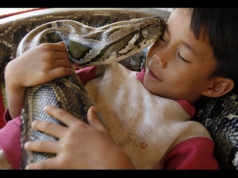 YouTube reptile video