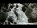  - MovieZen Video