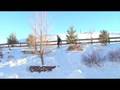 videos de Anthony Falls on Face