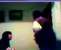 un secuestro desastroso jejeje un secuestro desastroso jejeje