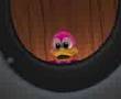 Kacky ducky