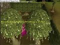 Magic Tree