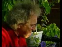 Юрий Кукин исполняет свою песню 