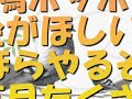 ポッポッポ～鳩ポッポ～（どうなるユキちゃん）