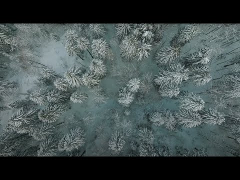 Luzern-Interlaken Express video