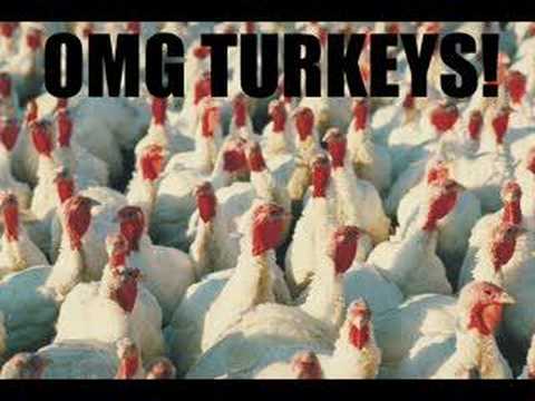 Turkey video song download