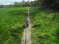 Click here to watch this video Cross country running with my lovely Tina the cairn terrier on 17th April 2012