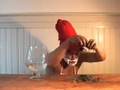 Le d�lire de Nono, le nain de jardin !!!