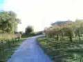 videos de La sfida .3gp