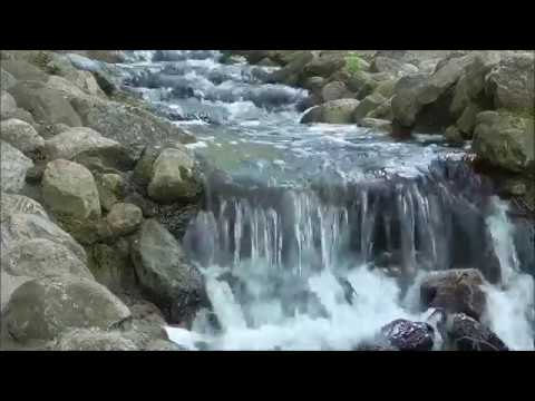 Misha Mishenko - River In My Veins